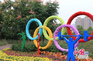 菊花：秋菊傲霜， 四季常青