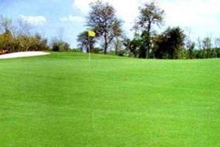 青海种草大揭秘：耐寒耐高海拔的草种全攻略