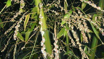 意外处理小贴士