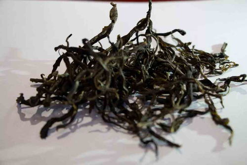 鱼藤精是什么？