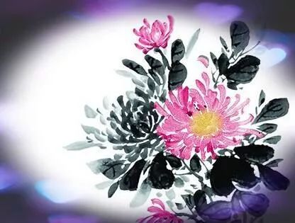 韩信草：古战名将遗名