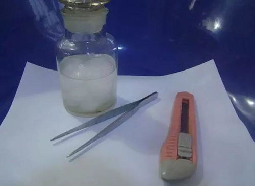 砧木和接穗，各有讲究