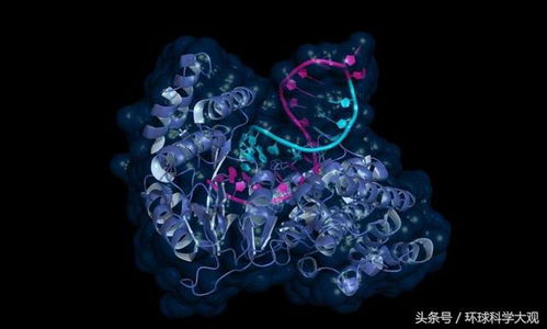 风雨兰因何种神秘基因绽放蓝色？