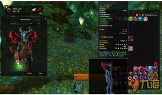 如何根据萨维斯板甲肩膀名字获取团本速刷省3000金技巧？