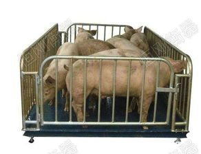 混养畜牧品种：猪、鸡、鸭