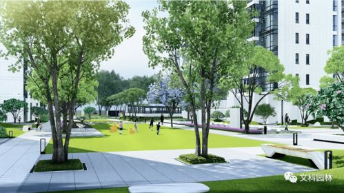 植物与人的互动