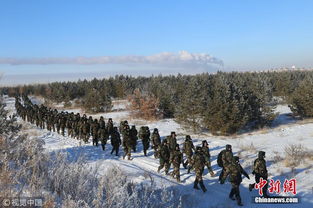 情感色彩：种花也是一种生活态度