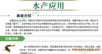 如何避免饲料添加剂选购误区，养殖户如何规避罚款，降低30%成本？