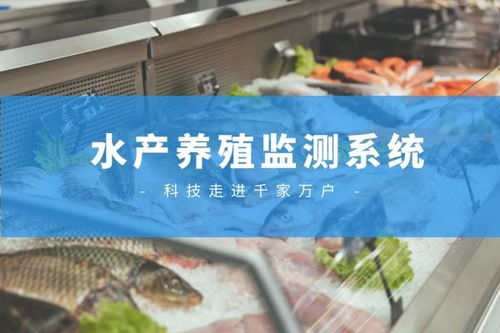 水产养殖肝胆问题用什么特效药最有效？养殖户必看防治方案与实战经验分享！