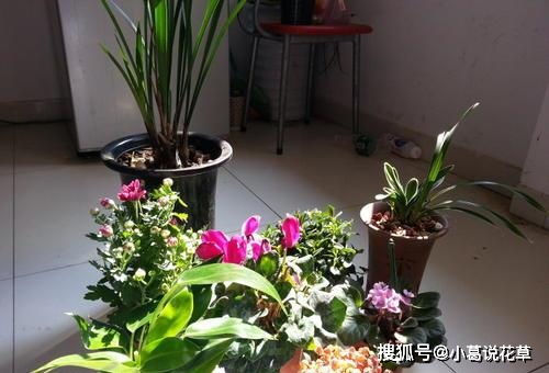 春季施肥的黄金准则