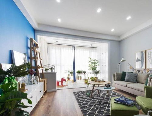 活性炭和甲醛去除剂， 吸附甲醛的小Neng手