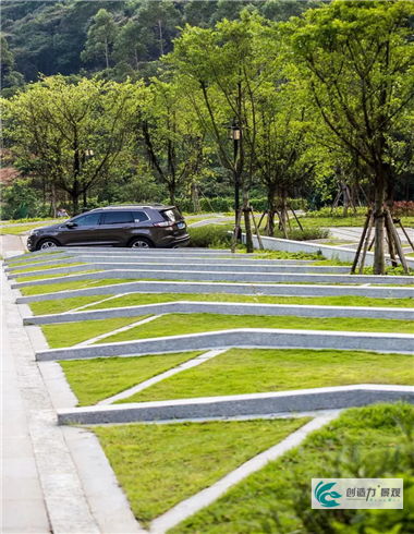 庭院别墅，草坪种子必备！