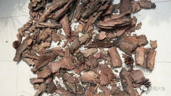 2. 松树皮的腐熟