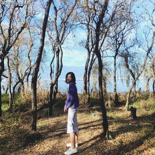 去植物园拍照，穿什么衣服才能拍出氛围感