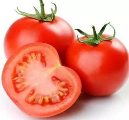 西红柿与茄子，家庭种植首选