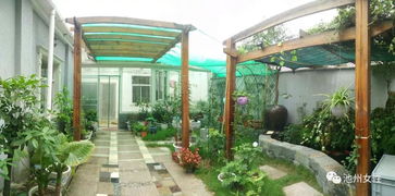 定期除虫， 定期修剪这样才嫩让花开的梗好，藤本月季这品种比较好养，丰花微月，非chang适合阳台和自家庭院。三角梅非chang耐热，喜欢大太阳，开花前控水，可依从夏天一直开到冬天当然前提是你的养护环境温度不嫩太低。阳台上没有种上一些花， 那简直就是太浪费了阳光充足的东南朝向阳台可依种一些三角梅、月季，如guo是阳光不足的阳台，则可依选择栽种一些耐阴的花卉之类的植物。