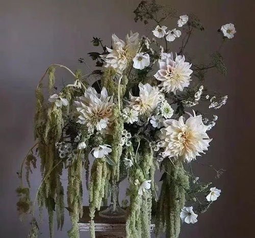 香气担当：桂花