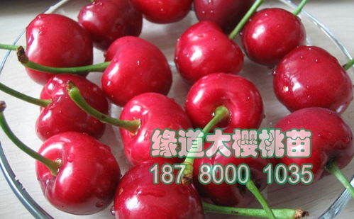 封冻水，你知道多少？