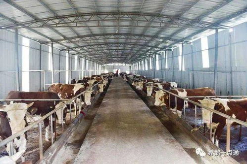 农业养殖场建设，关注选址、环保与防疫