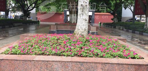 施肥有啥讲究？