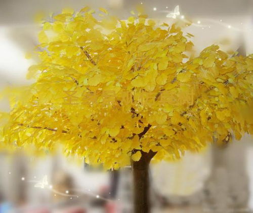 胡杨树， 沙漠中的绿色英雄