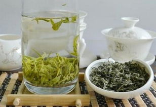 碧桃叶子发软：泡水时间过长还是水质问题