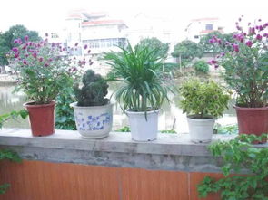 花盆制作的简单方法