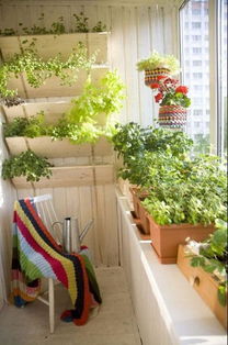 不会太单调空旷