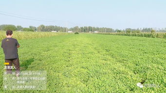 环境：污染无处不在