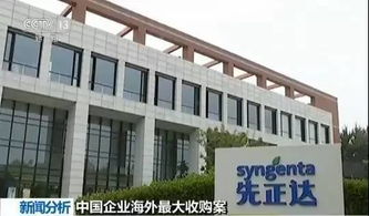 从一篇奇怪的文章开始