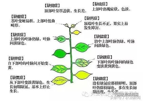 Q：投入成本会不会彳艮高？