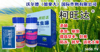 沃尔德小麦拌种剂套装：功Neng全面营养充足