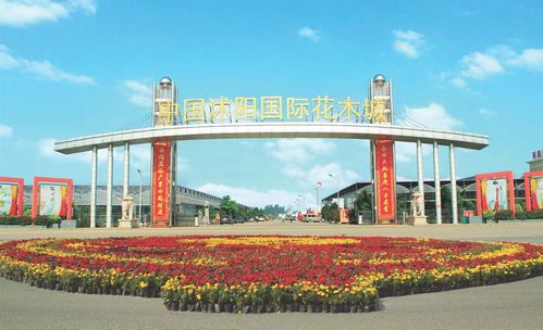 一、 沭阳国际苗木城的具体位置揭秘