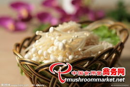 食用鲜金针菇前需在冷水中浸泡2小时以去除杂质