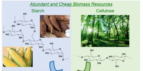 黄粉虫具备降解塑料的能力，是一种新型生物降解塑料技术