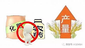 全球农化行业格局的变化