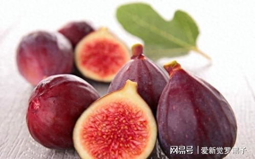 无花果成熟度判断：观察果实颜色、形状和手感