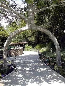 价格像过山车， 产地质量是关键