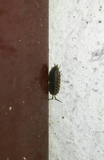 农药的神奇之处