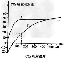红薯在什么温度范围和光照条件下生长最适宜