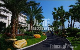 色彩运用：热情洋溢的画卷