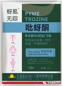 小黑飞如何高效杀灭？三种药物试验哪种效果最佳