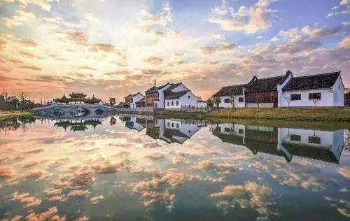 疫情常态化， 滕头园林“痛并快乐”的一年