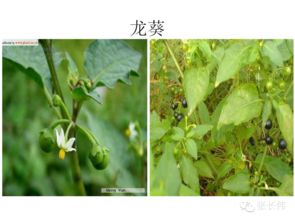 水分管理的秘密，你掌握了多少？