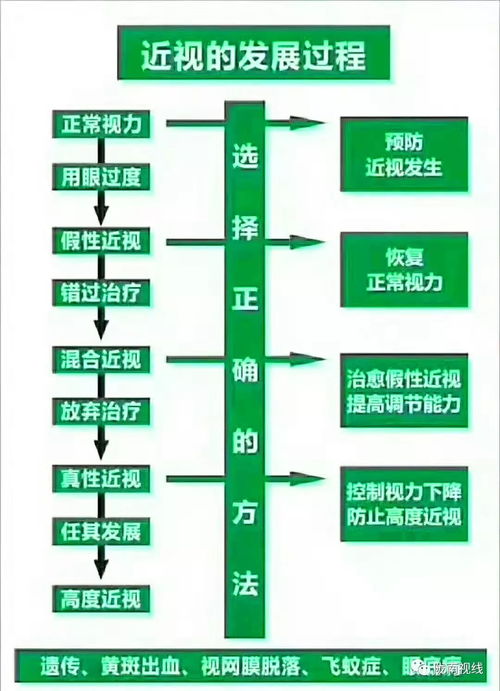 四月黄草本植物识别攻略：避开误采， 提升效率