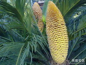 湿度控制有讲究