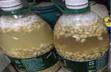 自制豆渣肥，家庭里把尿贮藏在罐里加一小把黄豆或一块豆，一个星期就分解成高级肥料