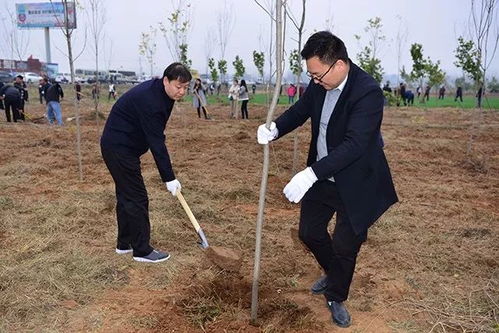 全民植树， 全民护树：责任与挑战