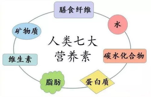 乳猪教槽料中，蛋白质、脂肪、纤维等营养成分的具体含量比例是多少？