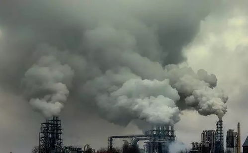 烟头回收利用， 环保又盈利